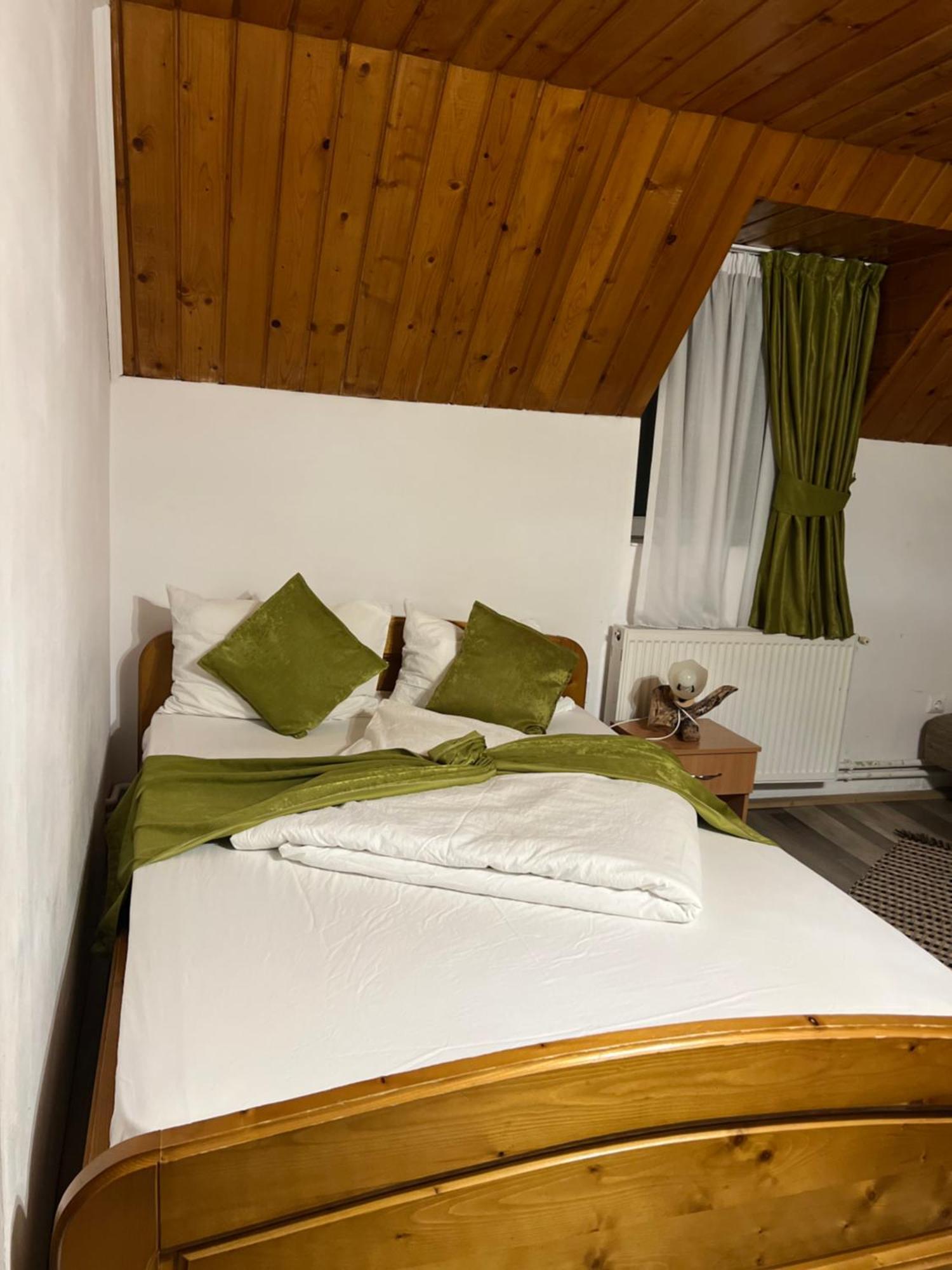 Vila Speranta Arieşeni Exteriör bild