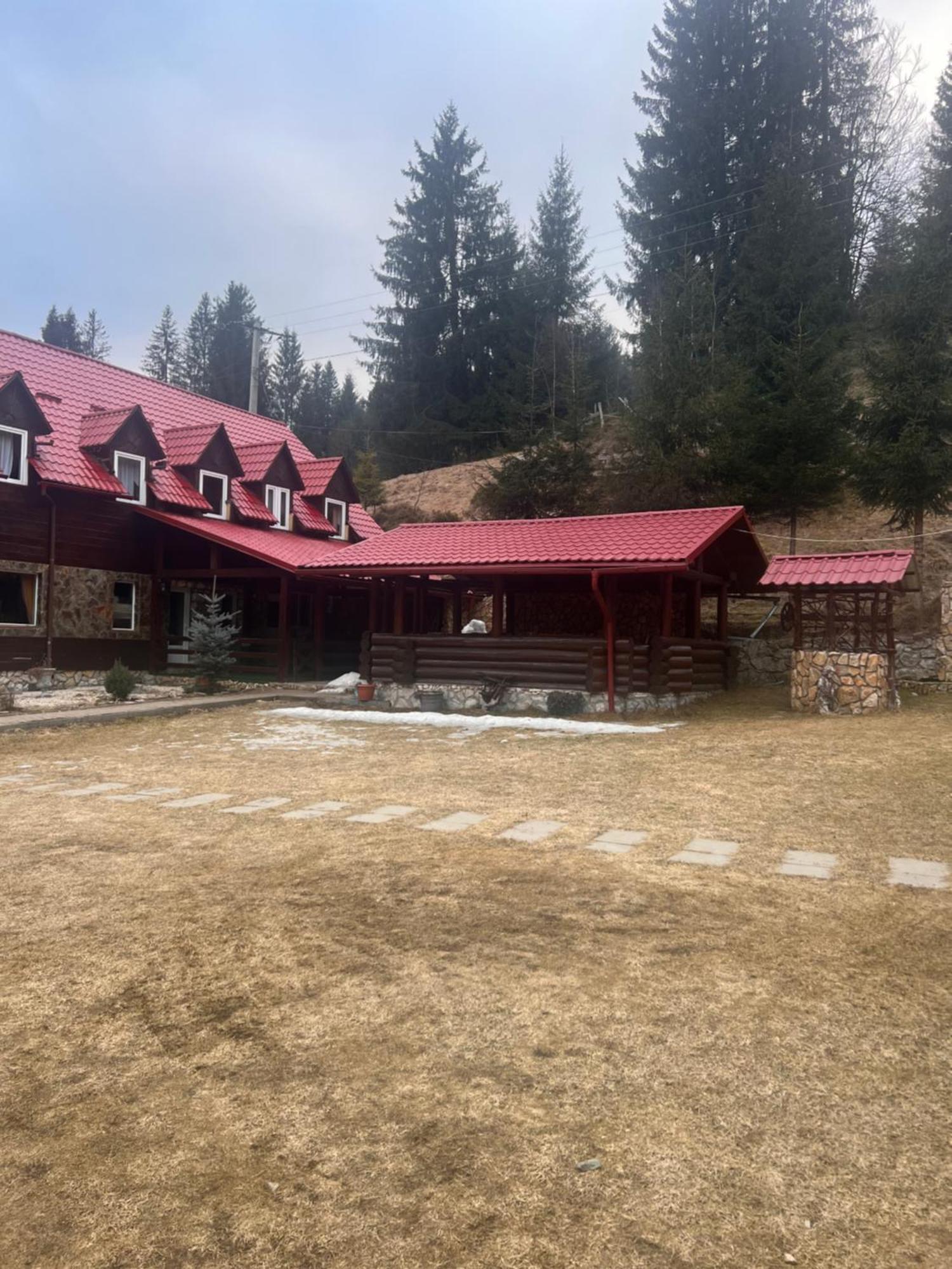 Vila Speranta Arieşeni Exteriör bild